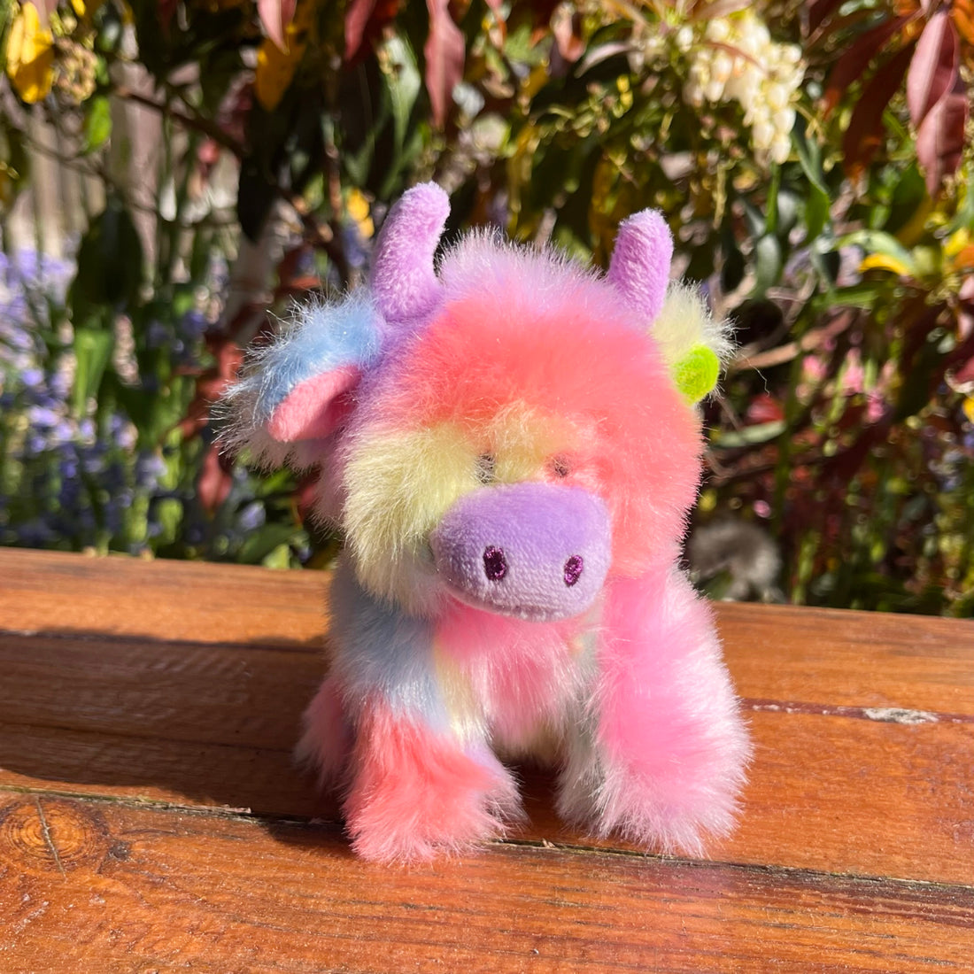 A brightly coloured highland cow sitting on wooden bench in front of greenery