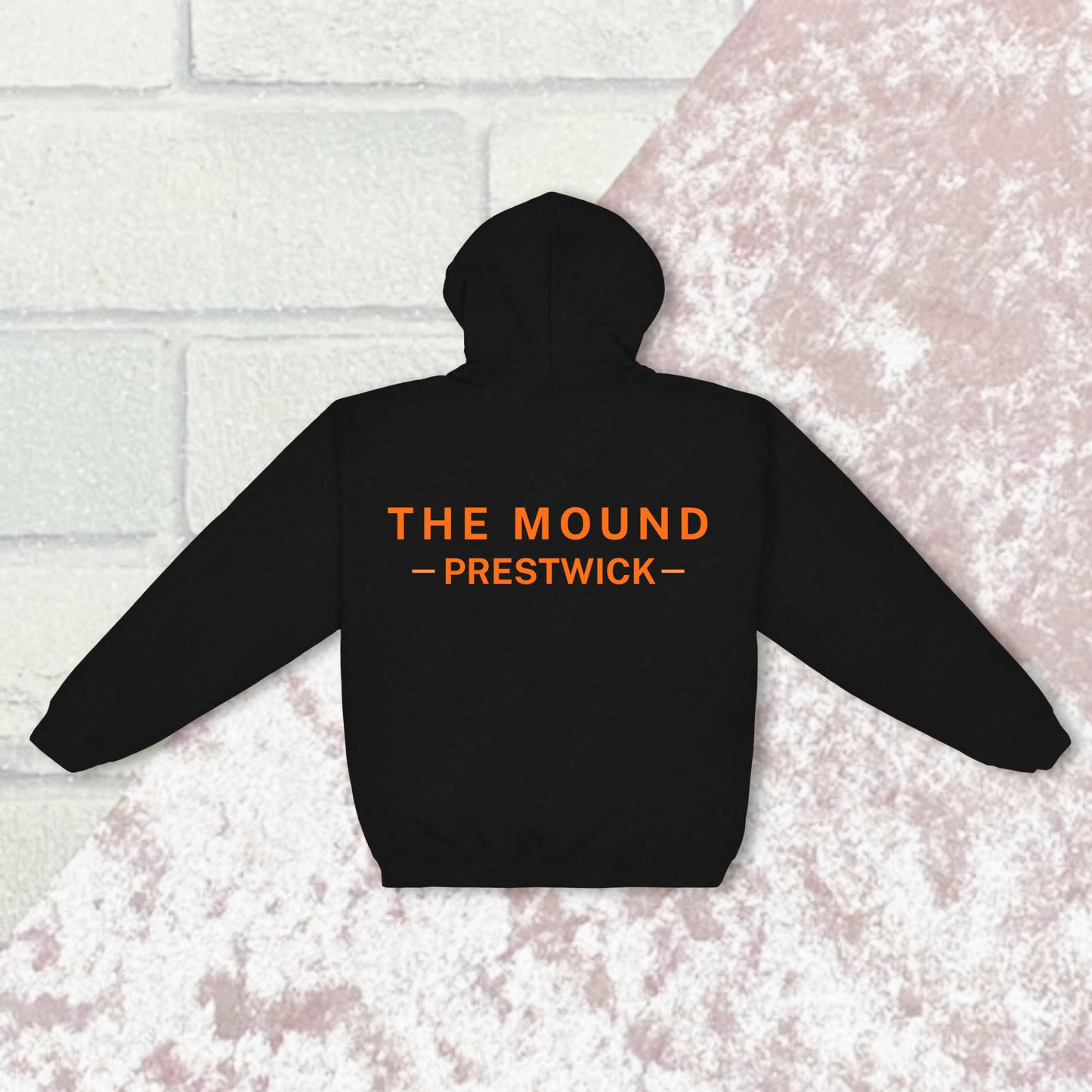 Stu Plane Pals Hoodie